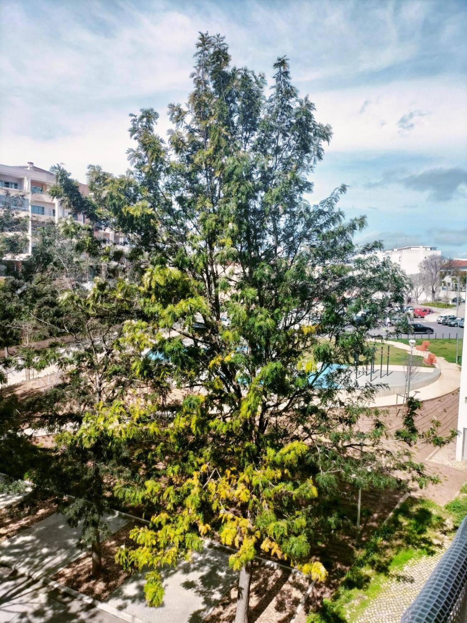Spot Apartment